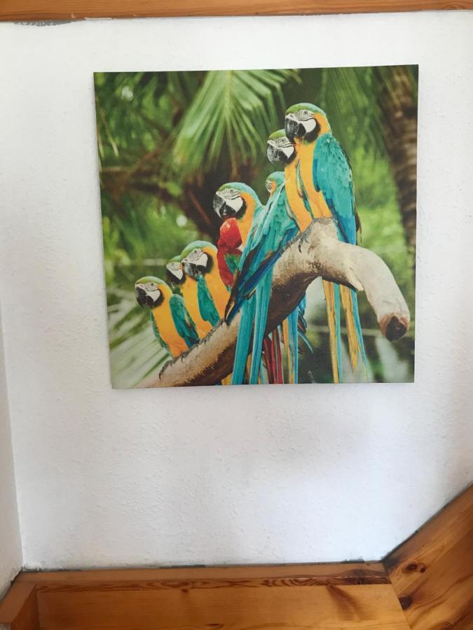 Bonita Casa Adosada Empuriabrava Kültér fotó